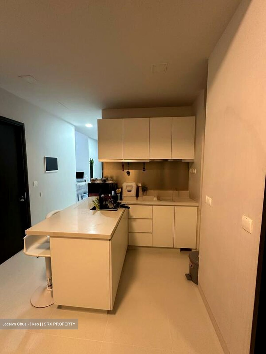 Neem Tree (D12), Apartment #517064191